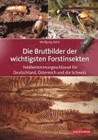bokomslag Die Brutbilder der wichtigsten Forstinsekten