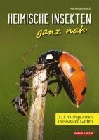 bokomslag Heimische Insekten ganz nah