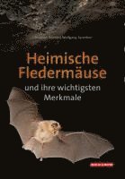 bokomslag Heimische Fledermäuse und ihre wichtigsten Merkmale