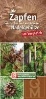 Die Zapfen heimischer und kultivierter Nadelgehölze im Vergleich 1