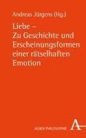 bokomslag Liebe - Zu Geschichte Und Erscheinungsformen Einer Ratselhaften Emotion