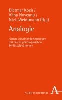 Alina Noveanu, Dietmar Koch - Analogie: Zur Aktualitat Eines Philosophischen Schlusselbegriffs, Inbunden