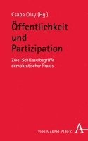 bokomslag Offentlichkeit Und Partizipation: Zwei Schlusselbegriffe Demokratischer Praxis