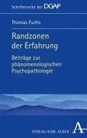 bokomslag Randzonen Der Erfahrung: Beitrage Zur Phanomenologischen Psychopathologie