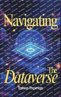 bokomslag Navigating The Dataverse