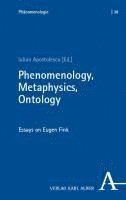 bokomslag Phenomenology, Metaphysics, Ontology