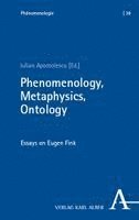 Iulian Apostolescu - Phenomenology, Metaphysics, Ontology, Häftad