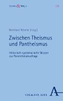 bokomslag Zwischen Theismus Und Pantheismus: Historisch-Systematische Skizzen Zur Panentheismusfrage