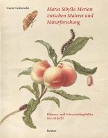 bokomslag Maria Sibylla Merian zwischen Malerei und Naturforschung