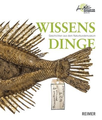 bokomslag Wissensdinge