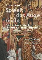 bokomslag Soweit Das Auge Reicht: Frommigkeit Und Visualitat Vom Fruhmittelalter Bis Zur Reformation