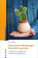 bokomslag Lehrer-Schüler-Beziehungen konstruktiv gestalten