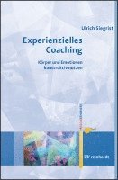 bokomslag Experienzielles Coaching