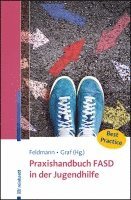 Praxishandbuch FASD in der Jugendhilfe 1