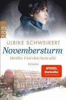 bokomslag Berlin Friedrichstraße: Novembersturm
