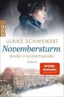 bokomslag Berlin Friedrichstraße: Novembersturm