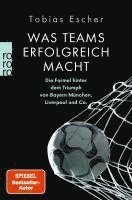 bokomslag Was Teams erfolgreich macht