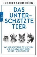 Das unterschätzte Tier 1