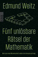 bokomslag Fünf unlösbare Rätsel der Mathematik