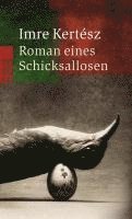 bokomslag Roman eines Schicksallosen