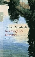 bokomslag Gespiegelter Himmel