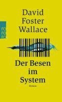 bokomslag Der Besen im System