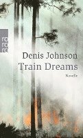 bokomslag Train Dreams