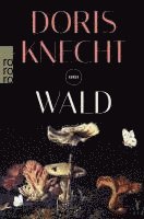Doris Knecht - Wald, Häftad