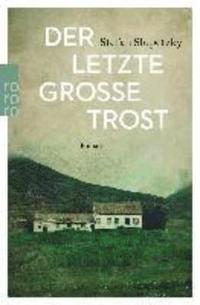 bokomslag Der letzte grosse Trost