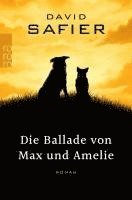 David Safier - Die Ballade von Max und Amelie, Häftad