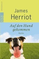 bokomslag Auf den Hund gekommen