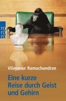 Eine kurze Reise durch Geist und Gehirn