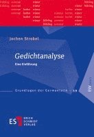 Jochen Strobel - Gedichtanalyse, Häftad