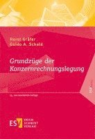 bokomslag Grundzüge der Konzernrechnungslegung