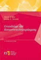 bokomslag Grundzüge der Konzernrechnungslegung