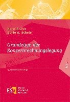 Grundzüge der Konzernrechnungslegung