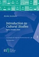 Aleida Assmann - Introduction to Cultural Studies, Häftad
