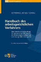 bokomslag Handbuch des arbeitsgerichtlichen Verfahrens