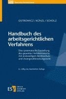 bokomslag Handbuch des arbeitsgerichtlichen Verfahrens