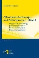 bokomslag Öffentliches Rechnungs- und Prüfungswesen - Band 1