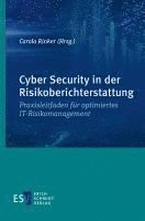 bokomslag Cyber Security in der Risikoberichterstattung