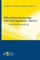 bokomslag Öffentliches Rechnungs- und Prüfungswesen - Band 3