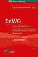 EnWG 1