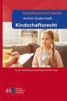 bokomslag Familienrecht heute - - Kindschaftsrecht