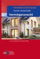 bokomslag Familienrecht heute - - Vermögensrecht