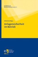 Dirk S. Sohn, Michael Au - Anlagensicherheit im Betrieb, Inbunden