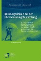 bokomslag Beratungsrisiken bei der Überschuldungsfeststellung