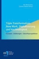 bokomslag Triple Transformation: New Work, Digitalisierung und Nachhaltigkeit