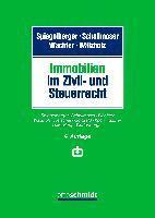 bokomslag Immobilien im Zivil- und Steuerrecht