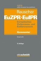 bokomslag Europäisches Zivilprozess- und Kollisionsrecht EuZPR/EuIPR. Band I